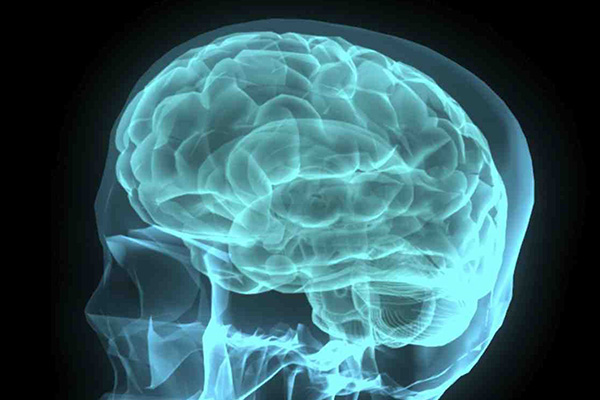 psychotherapy introspection